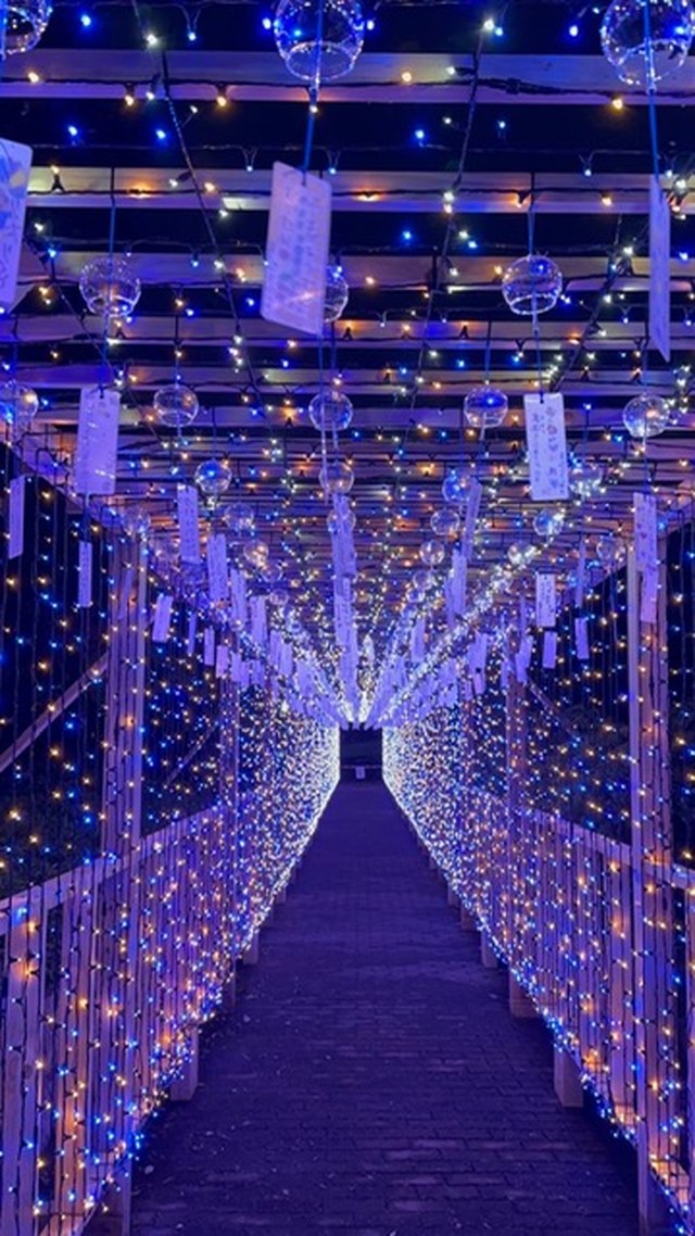 入場無料】夏の飛島村を、風鈴とLEDの光が彩る「とびしま宵あかり
